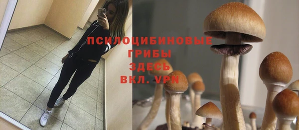 прущие крисы Нефтегорск