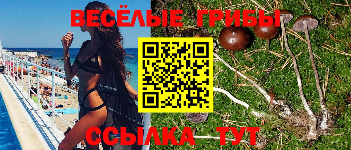 Псилоцибиновые грибы мицелий Хабаровск