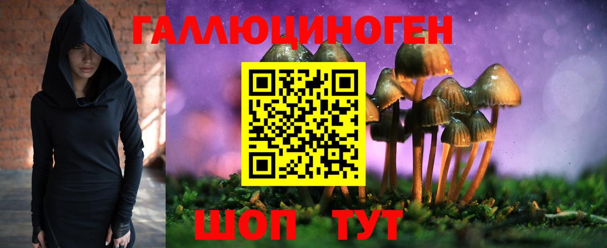 Галлюциногенные грибы Magic Shrooms  Вход с VPN  Хабаровск  Псилоцибиновые грибы ЛСД 